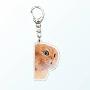 il Portachiavi Gatto-Purrfetto